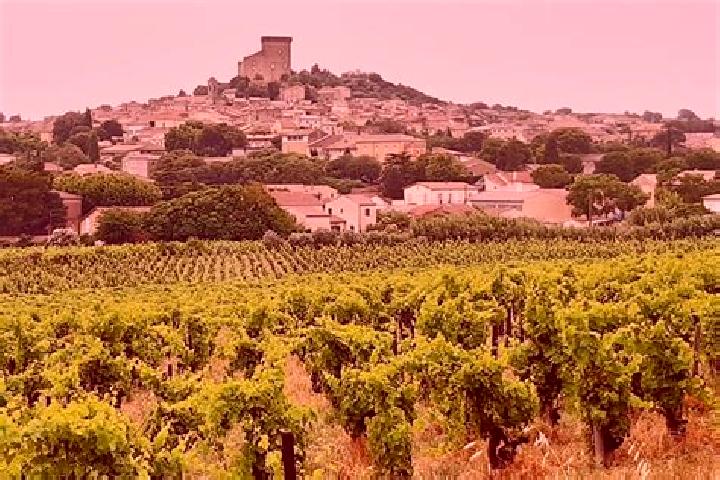 escort Chateauneuf-du-Pape