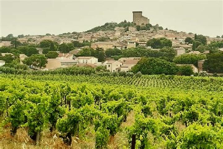 escort Chateauneuf-du-Rhone