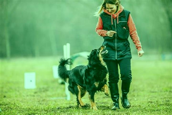 escort Chatel-Saint-Germain