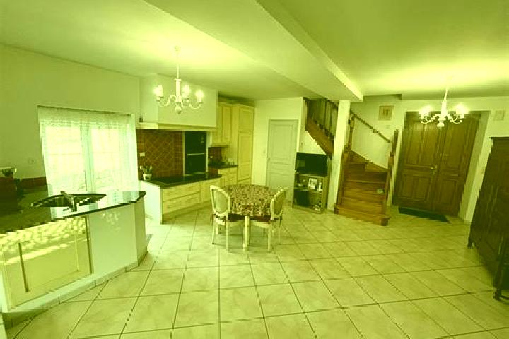 escort Chatillon-en-Vendelais