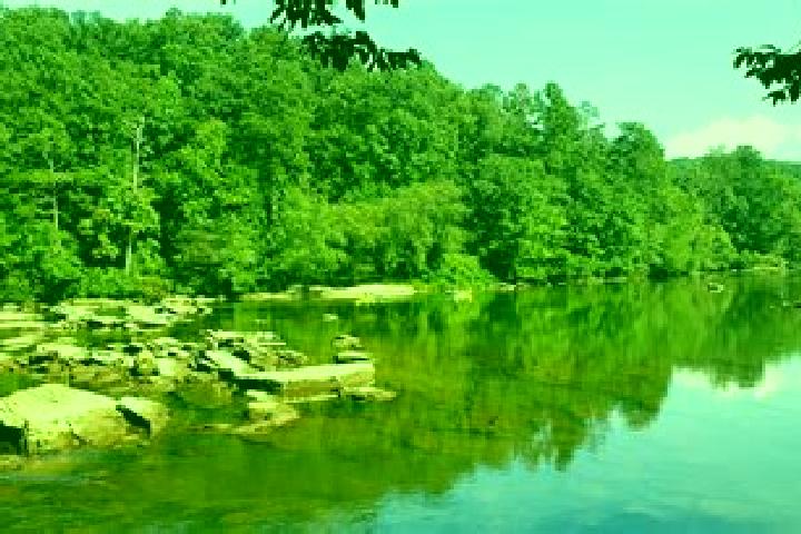 escort Chattahoochee