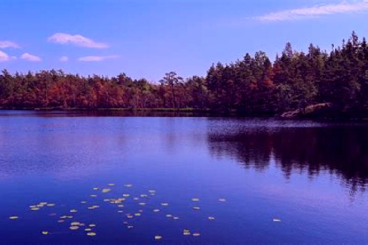 escort Cheat Lake