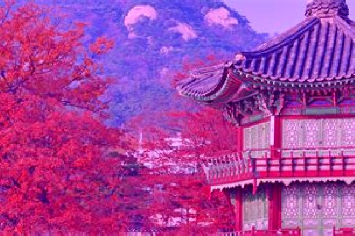 escort Cheongju-si