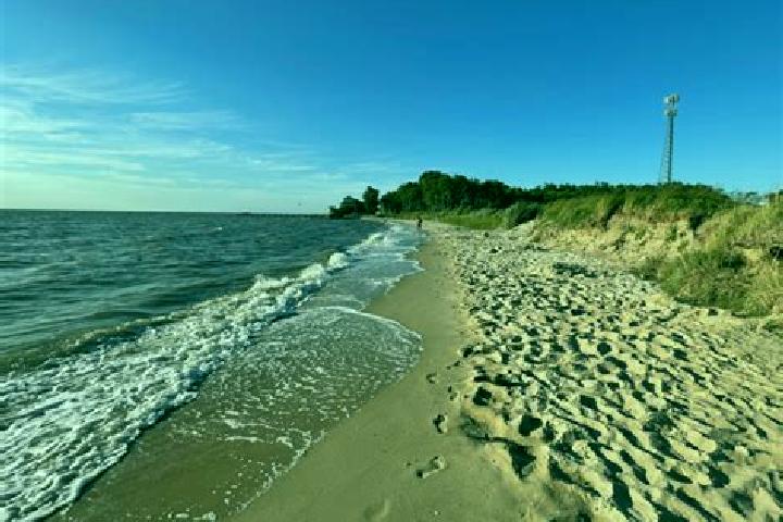 escort Chesapeake Beach
