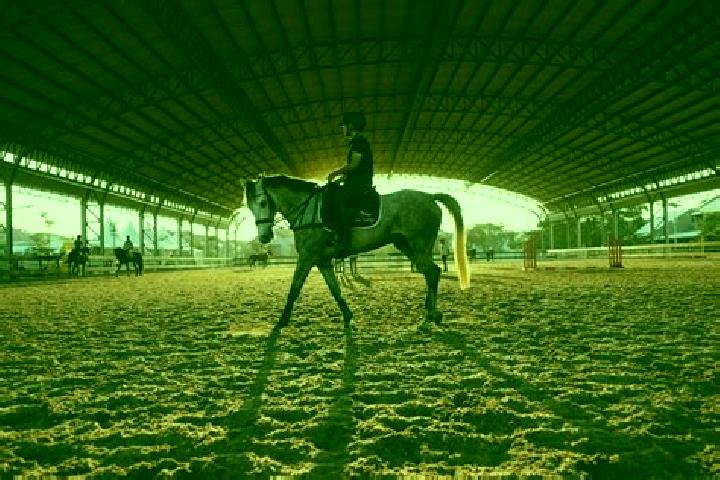 escort Cheval