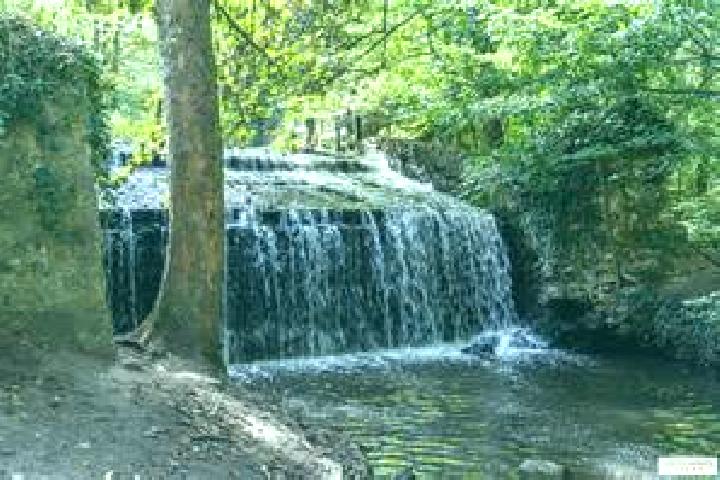 escort Chevreuse