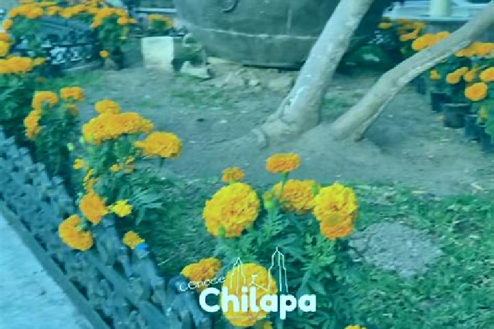escort Chilapa del Carmen