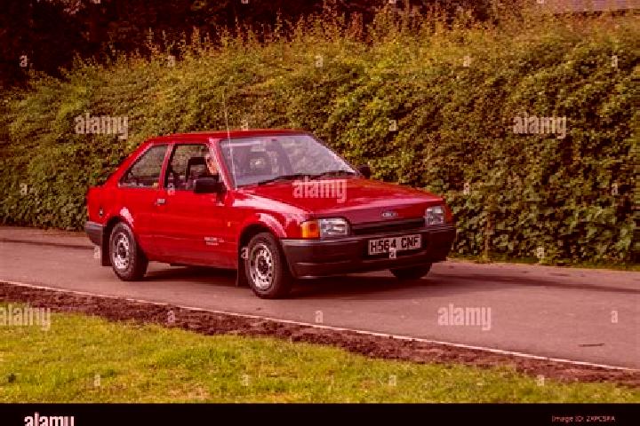 escort Chingford