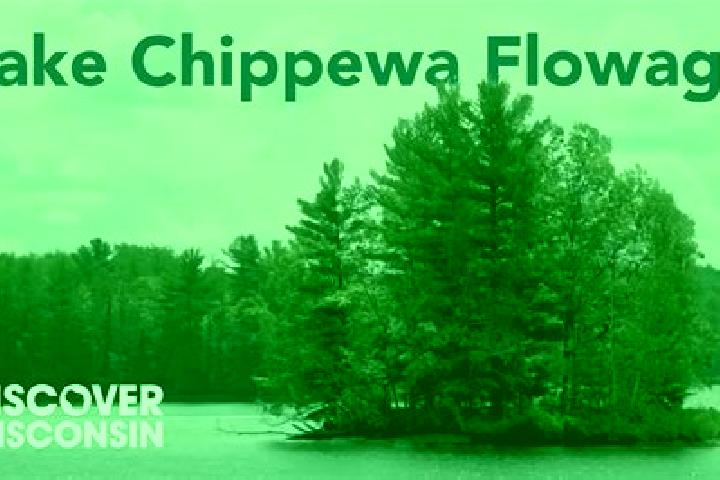 escort Chippewa Lake