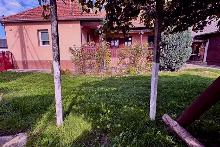escort Ciceu-Giurgesti