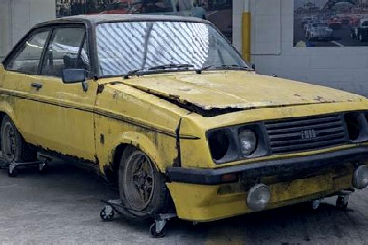 escort Cioroiu
