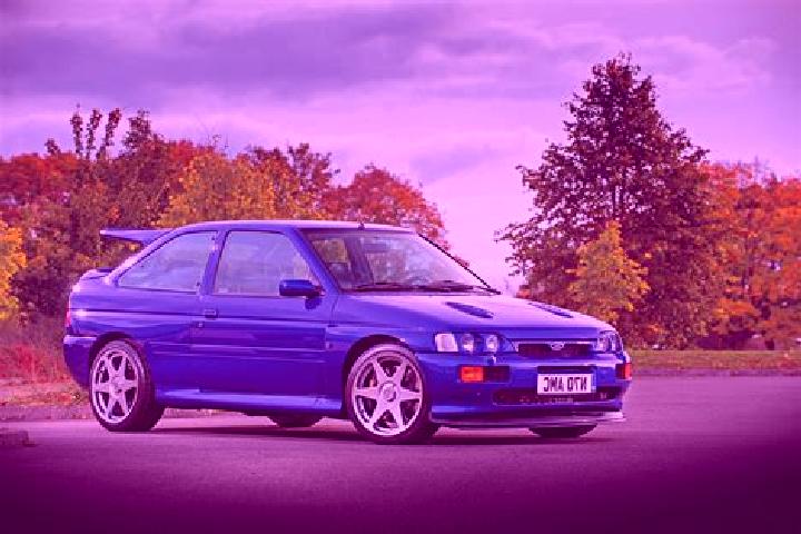 escort Ciplakli