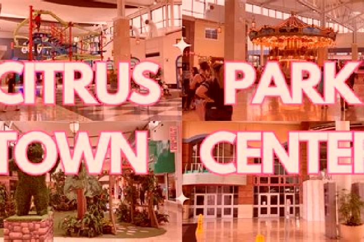 escort Citrus Park