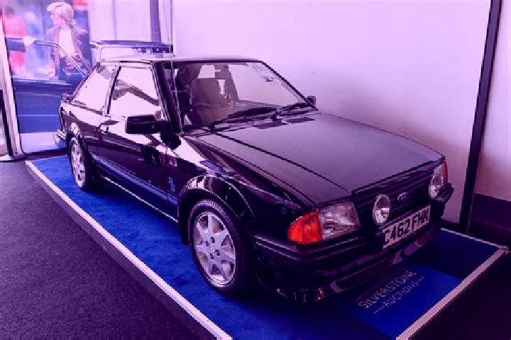 escort Citrusdal