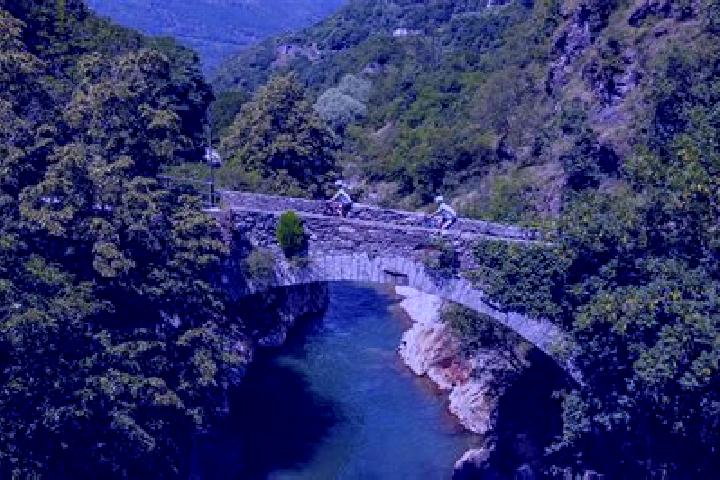 escort Cividate Camuno