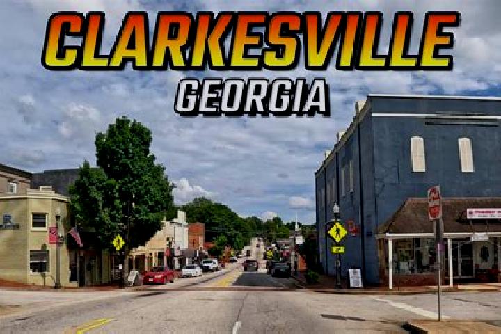 escort Clarkesville