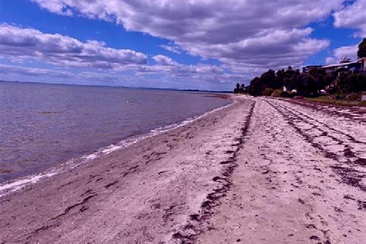 escort Clarks Beach