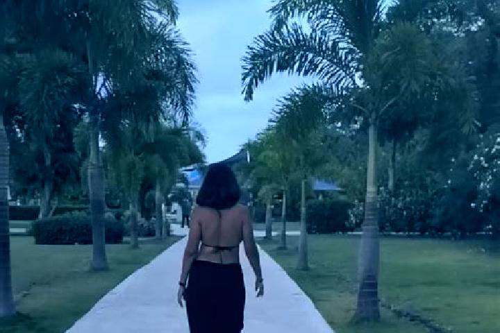 escort Claxton Bay