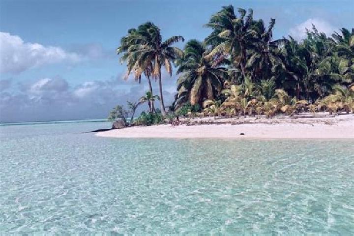escort Clear Island Waters