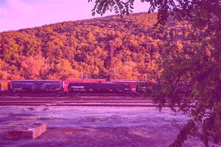 escort Clifton Forge