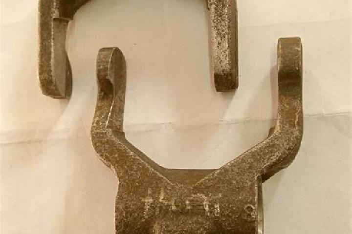 escort Coal Fork