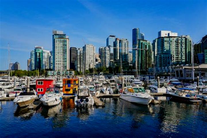 escort Coal Harbour