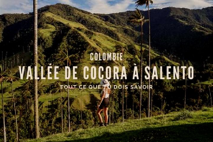 escort Cocora