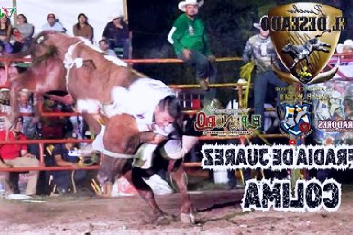 escort Cofradia de Juarez