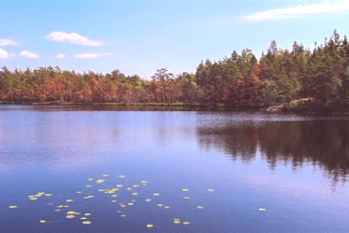 escort Cold Lake