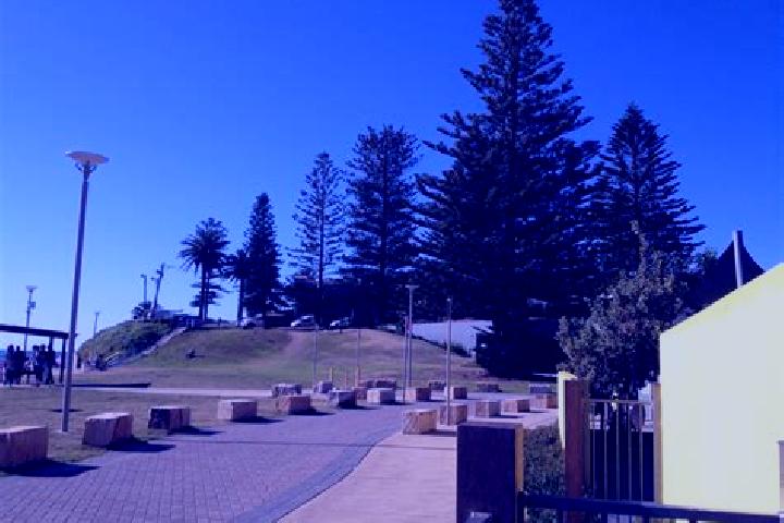 escort Collaroy Plateau