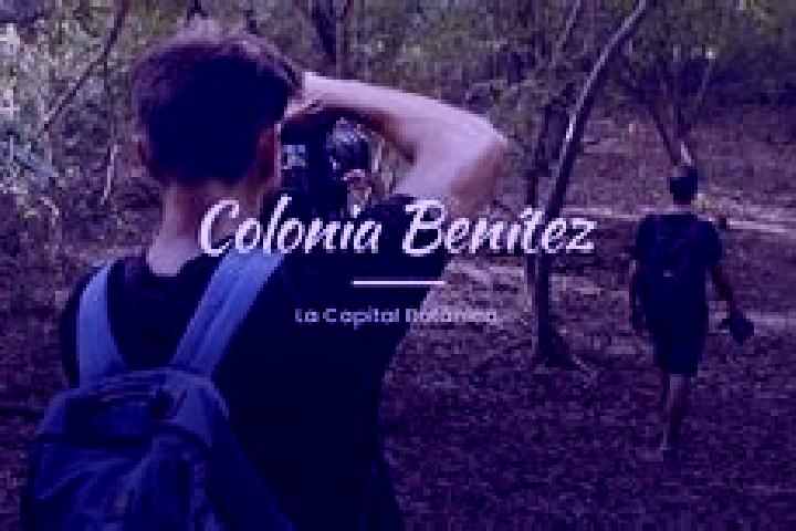 escort Colonia Benitez