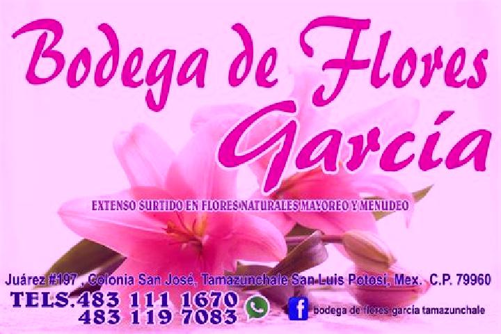 escort Colonia Flores Garcia
