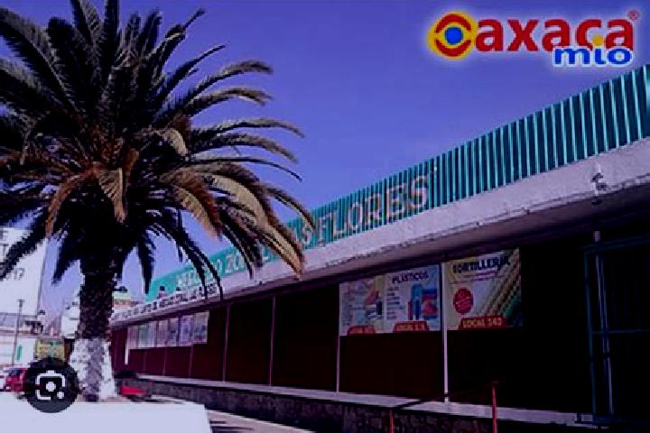 escort Colonia las Flores