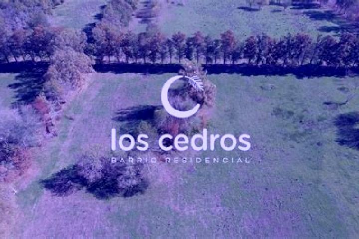 escort Colonia los Cedros