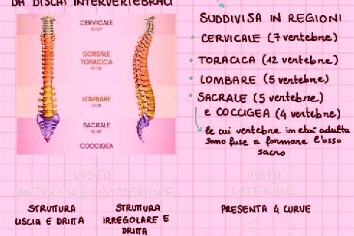 escort Colonna