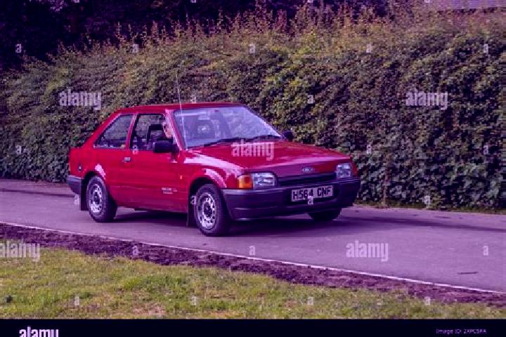escort Coloso