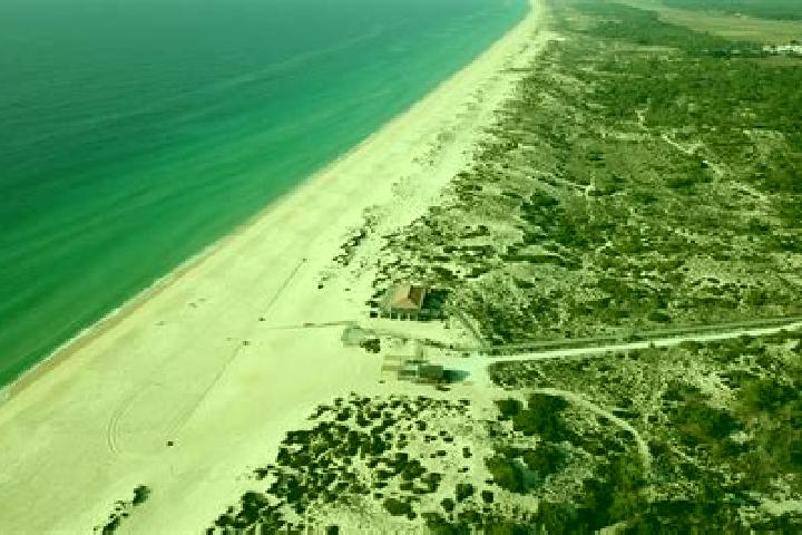 escort Comporta