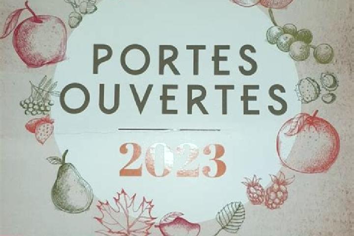 escort Conchy-les-Pots