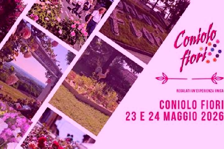 escort Coniolo Bricco