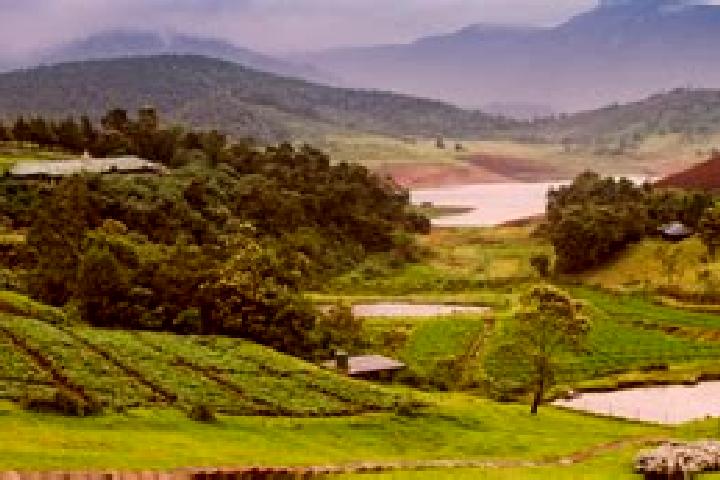 escort Coonoor
