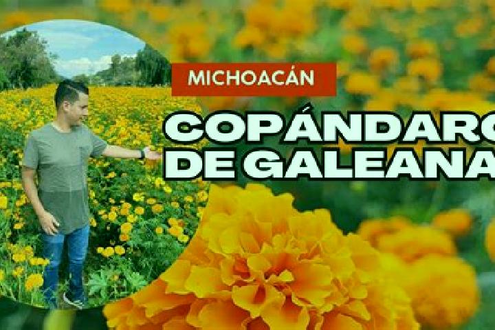 escort Copandaro de Galeana