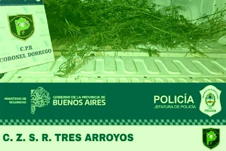 escort Coronel Dorrego
