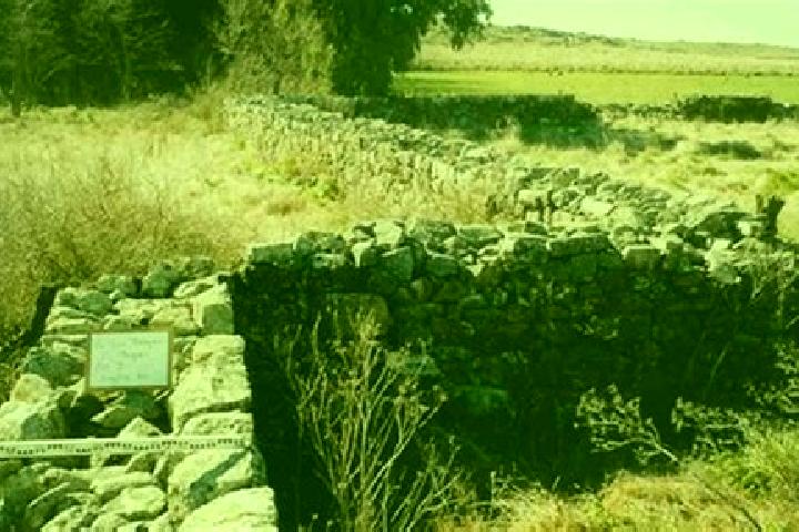 escort Corral de Piedra