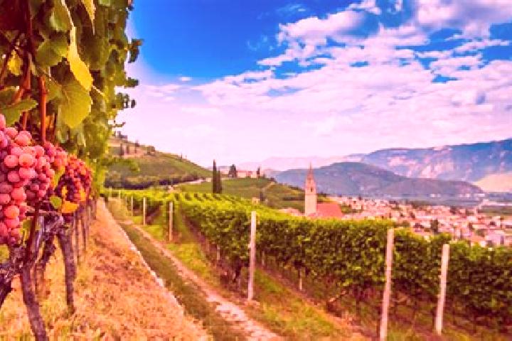 escort Cortaccia sulla Strada del Vino