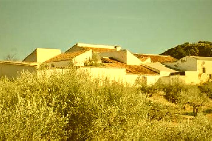 escort Cortijo Nuevo