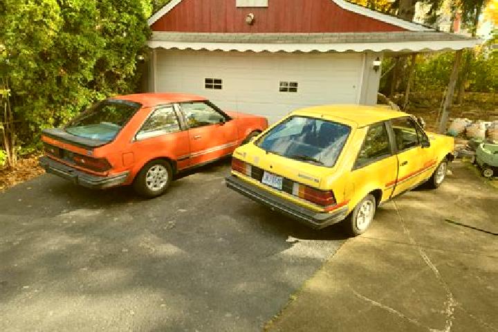 escort Cotaruse