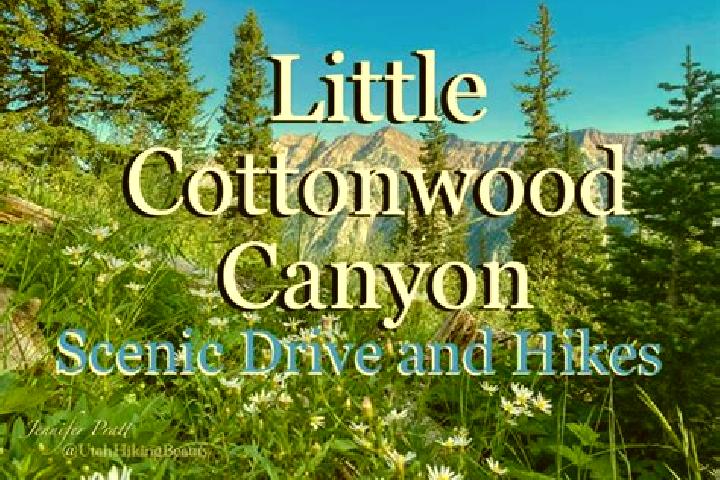 escort Cottonwood Heights