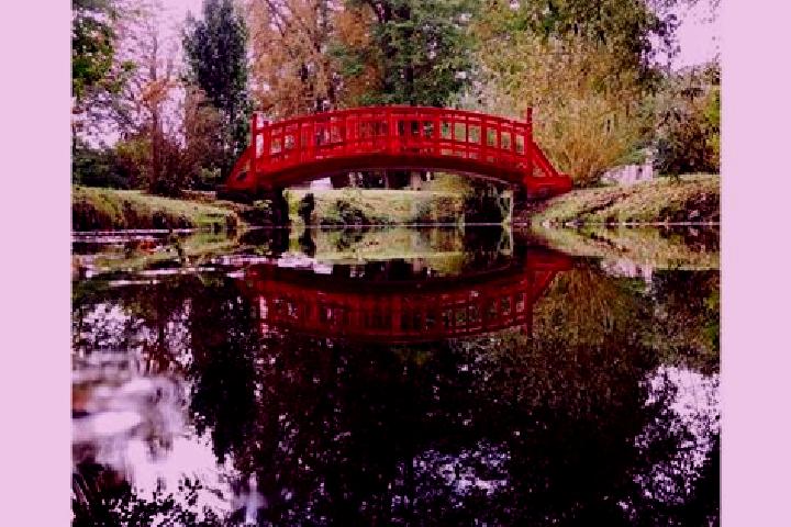 escort Couilly-Pont-aux-Dames