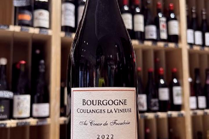 escort Coulanges-la-Vineuse