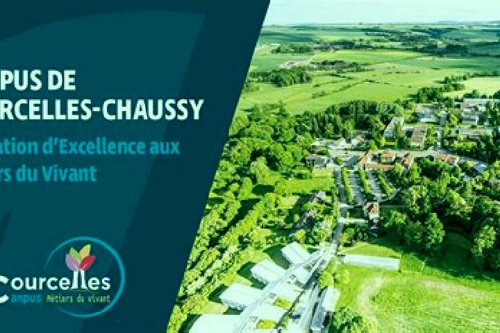escort Courcelles-Chaussy